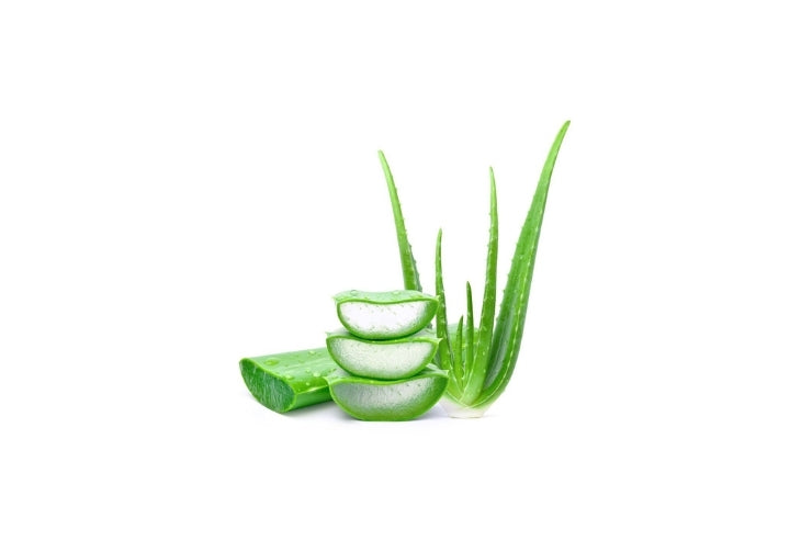 Aloe Vera Özü Nedir?